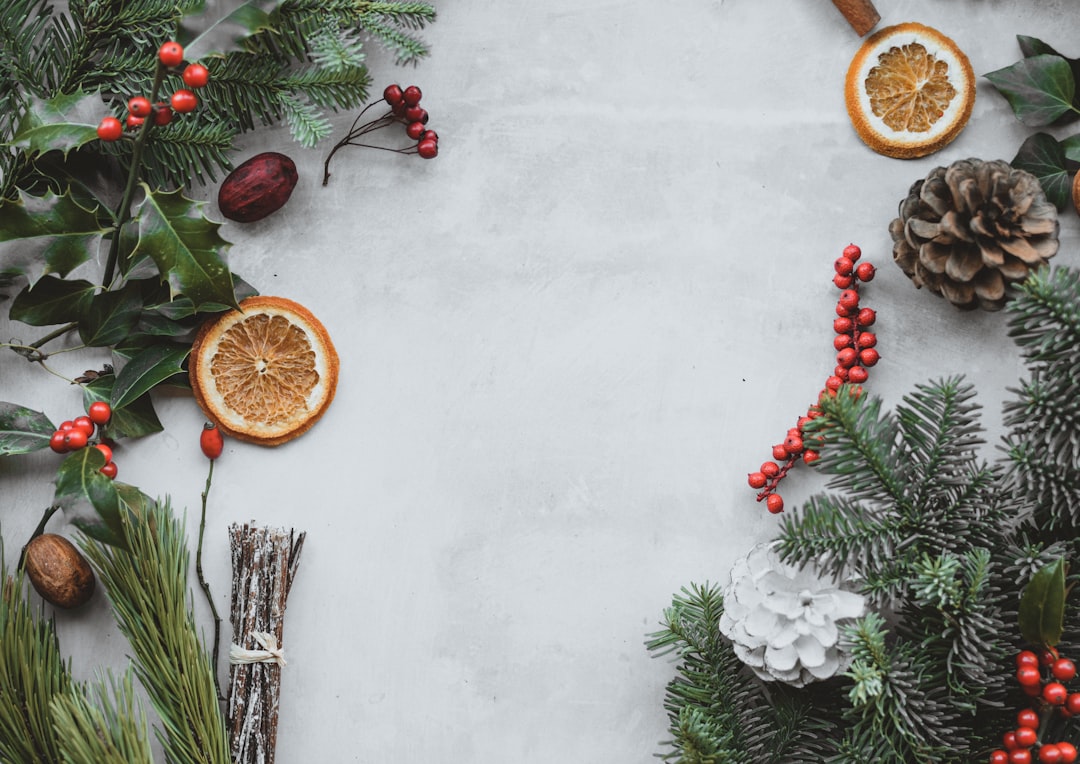 Gnome-themed Christmas Tree: A Festive Touch of Whimsy
